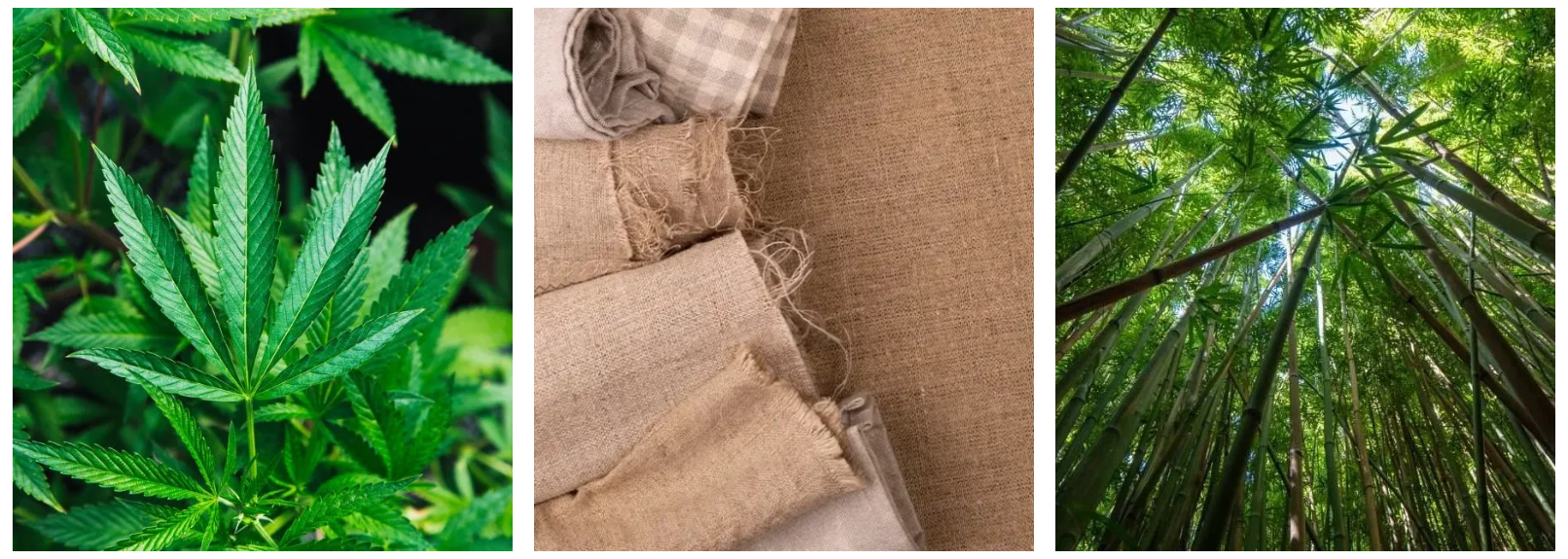 What Are The Organic Fabrics?
